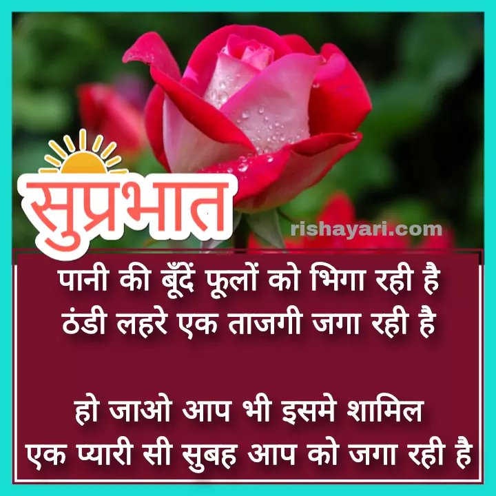 good morning shayari images-in hindi download